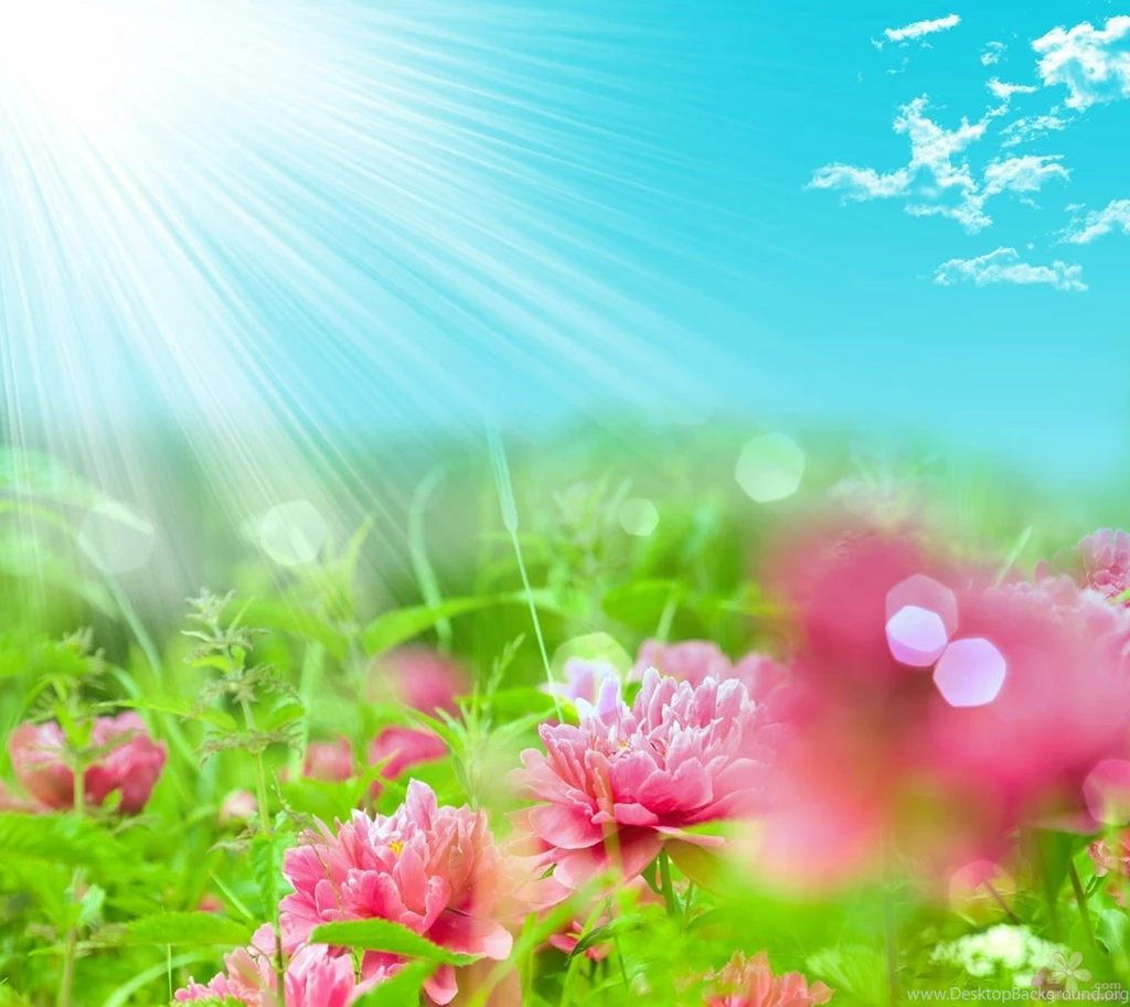 3d fantasy hd wallpapers free download.jpg