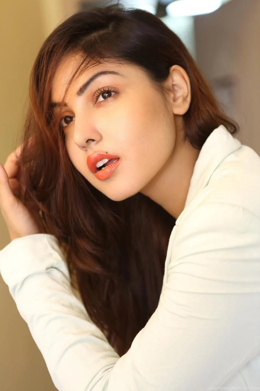 Komal Jha Actress New Photoshoot Stills – Cinefames