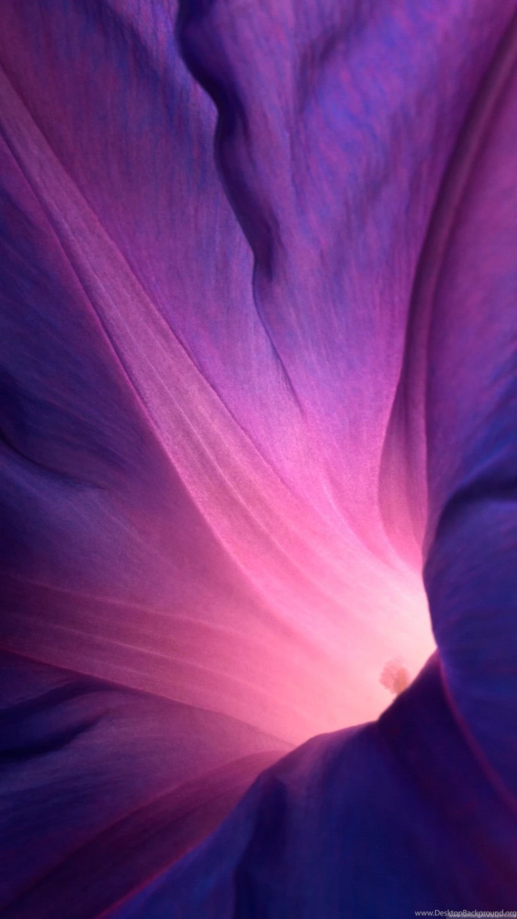 Sony Xperia Z1 Official Stock Flower Lock Screen