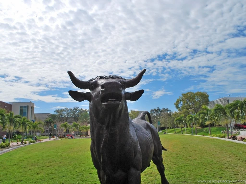 Installation Of The Bull On Harborwalk