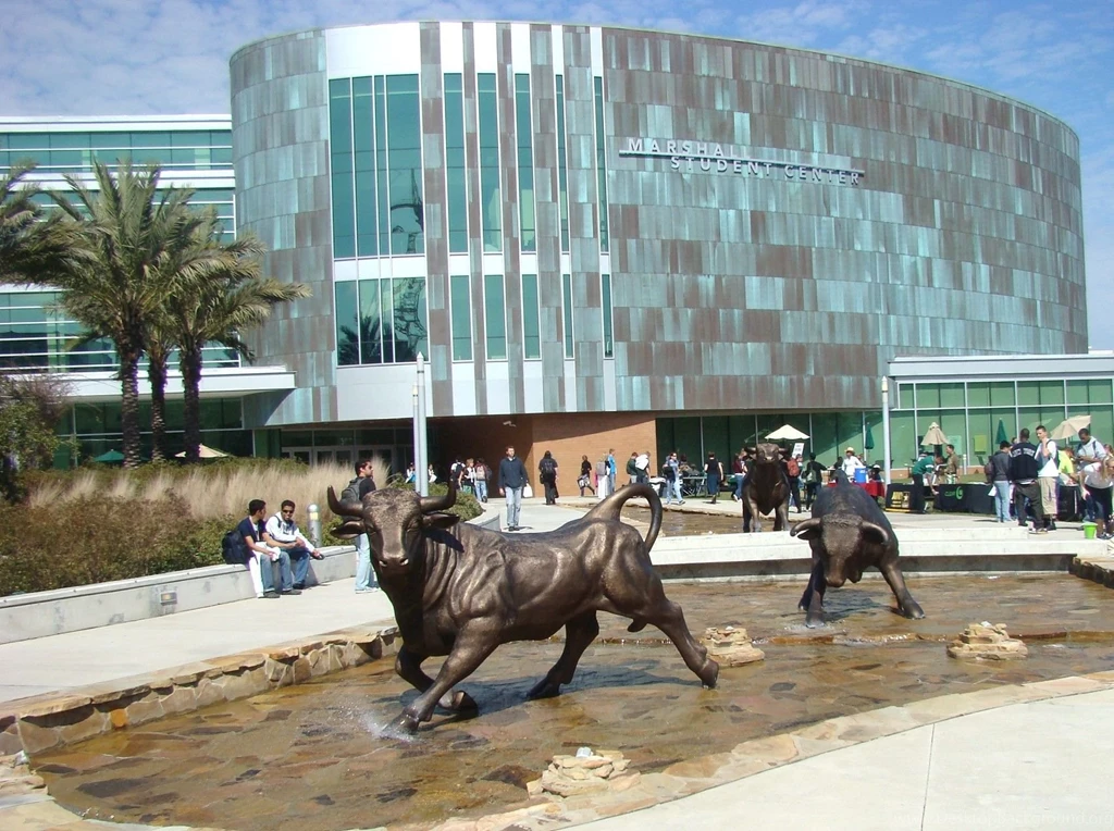 Tampa Florida Photos