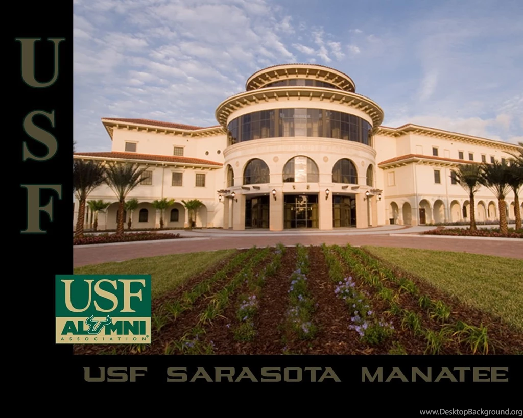 Kosove Society   USF Wallpapers