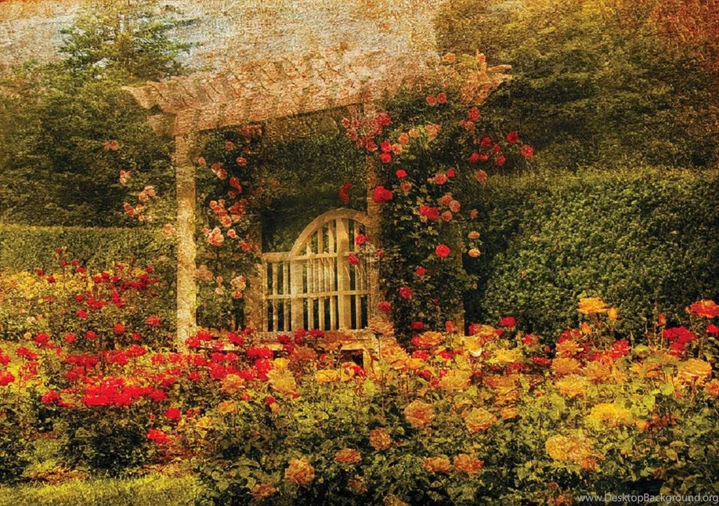 A Bench In The Rose Garden (