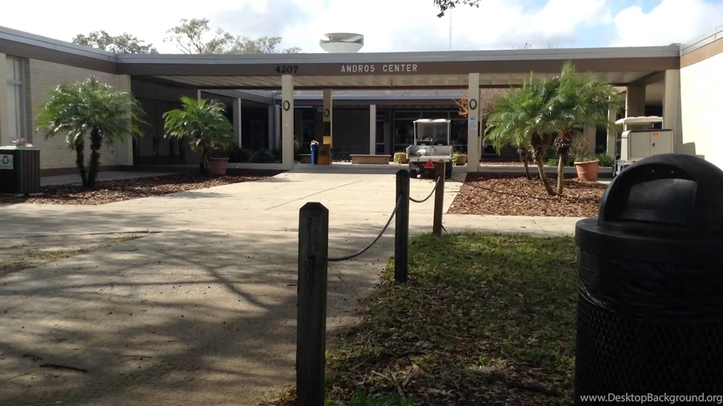 University Of South Florida   Various Locations (2)   YouTube