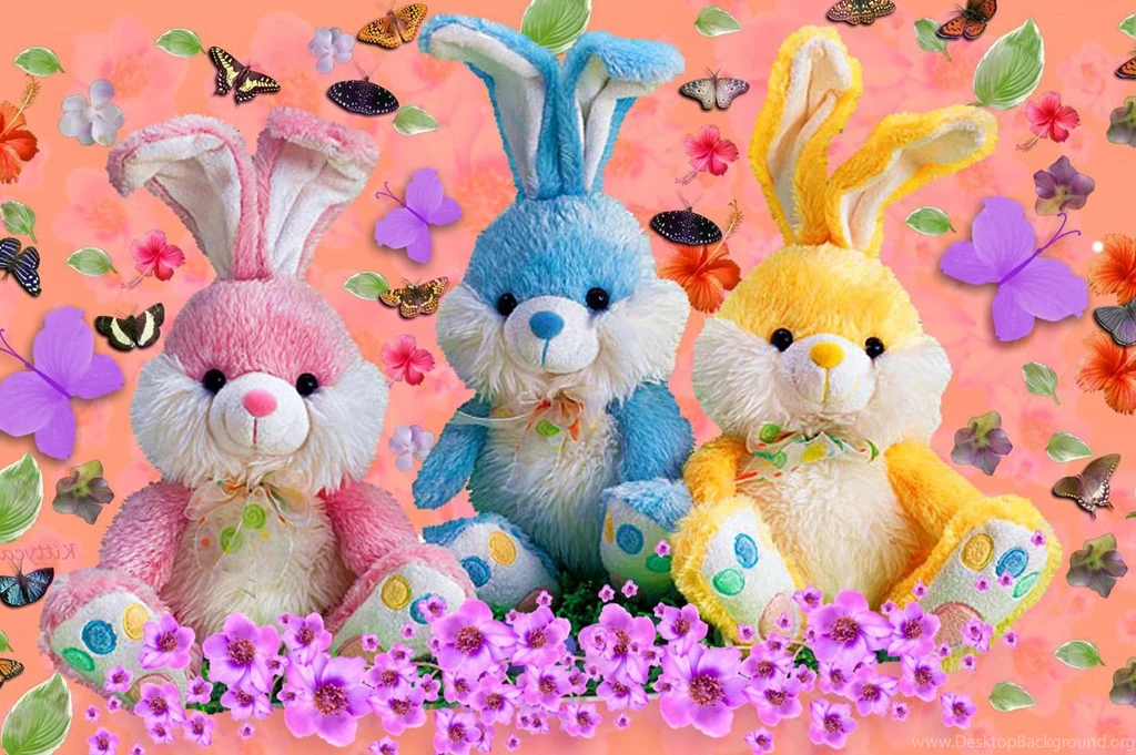 Animal Kingdom, Desktop Images, Free Wallpapers, Cute Animals ...