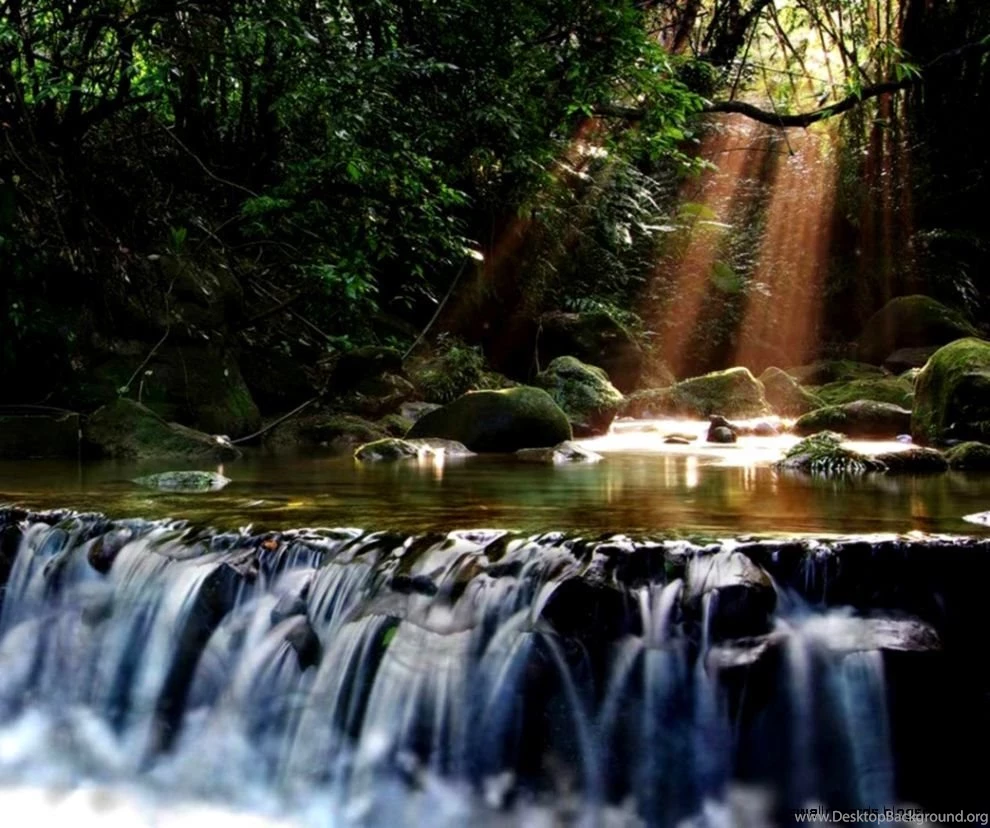 Animierte Wallpapers Windows 7 Kostenlos Downloaden