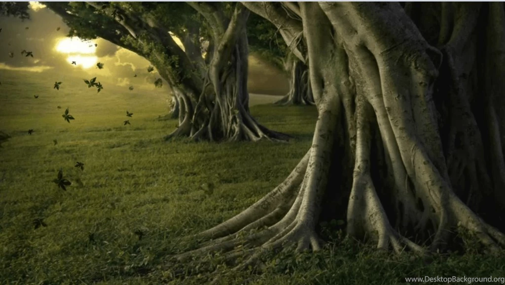 Summer leaves dreamscene.png