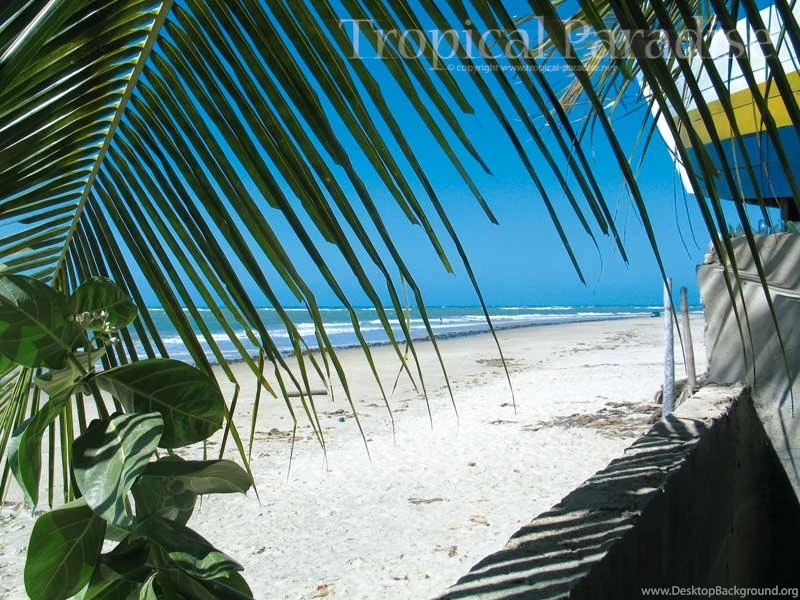 Free Best Wallpapers. Welcome To Tropical Paradise Free Wallpapers