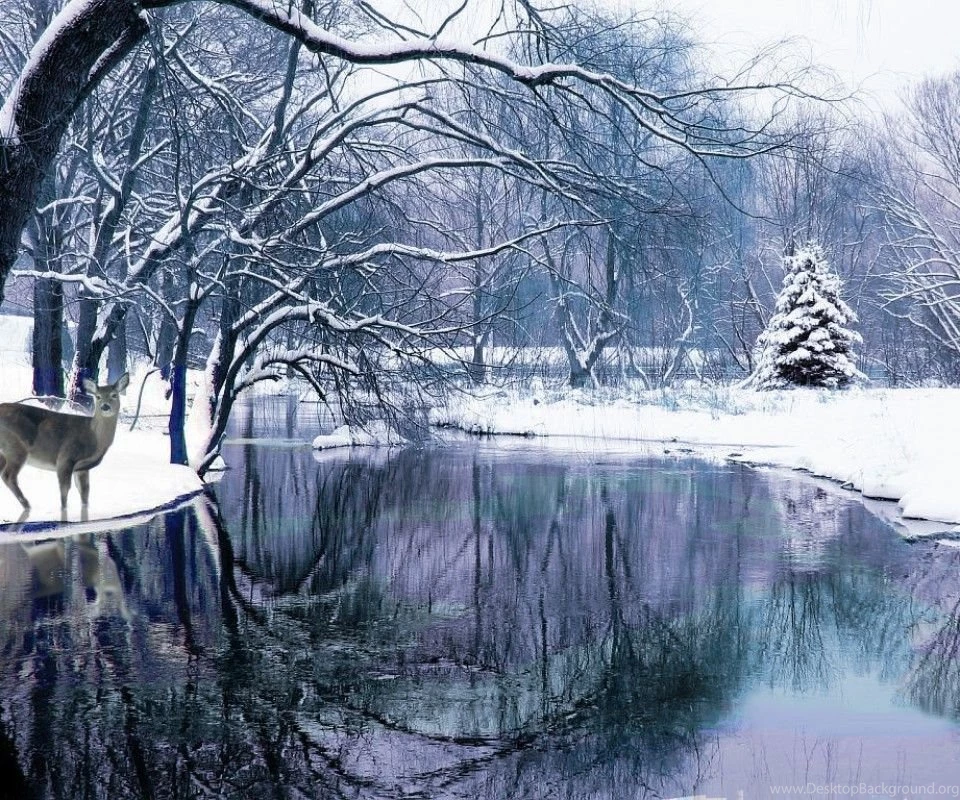 Winter Scene Wallpapers Wallpapers Cave