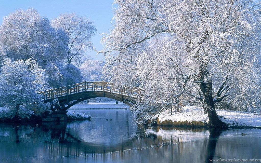 Free Winter Scene Wallpapers Wallpapers Cave