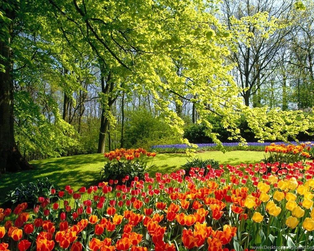 Scenery Background Images Wallpapers Cave