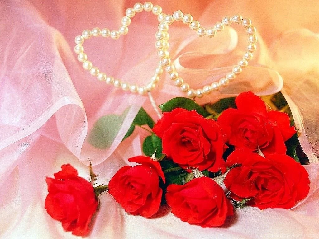 Rose Wallpaper,download Free Wallpaper,free Images