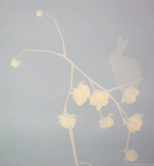 Icff 2012: Wallpapers