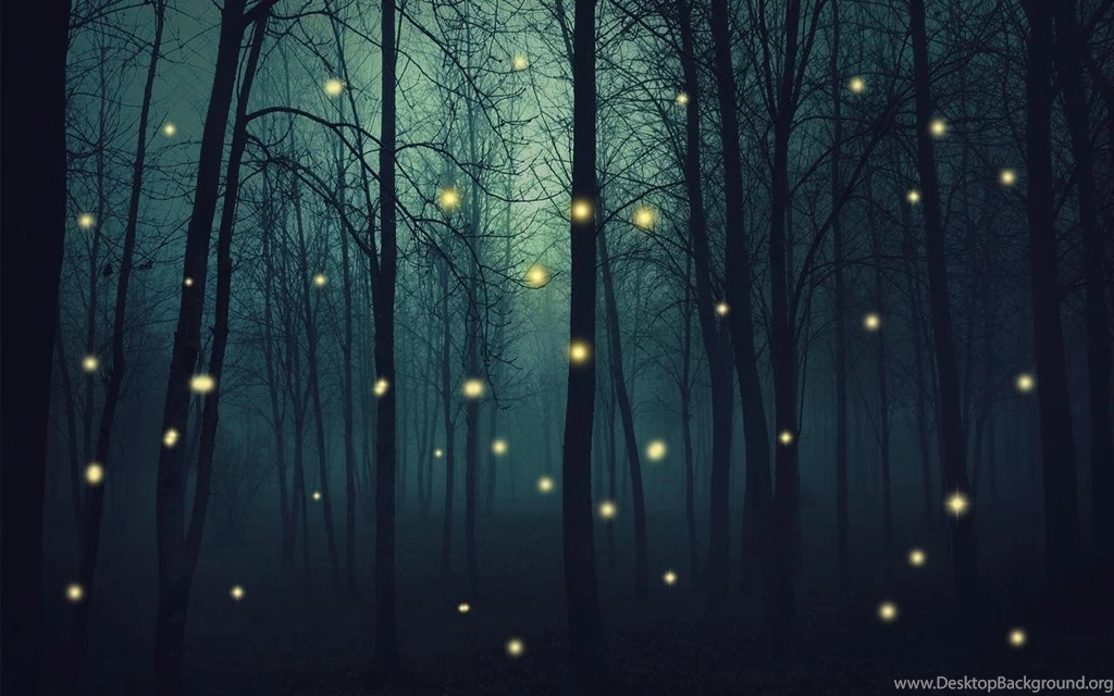Fireflies Live Wallpapers   Android Apps And Tests   AndroidPIT