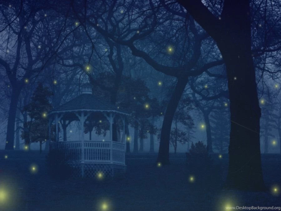 Fireflies Wallpapers By Peaches5189 On DeviantArt