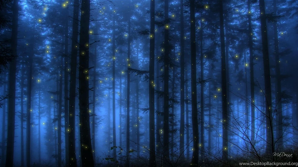 Lightning Bugs Wallpapers >> Backgrounds With Quality HD