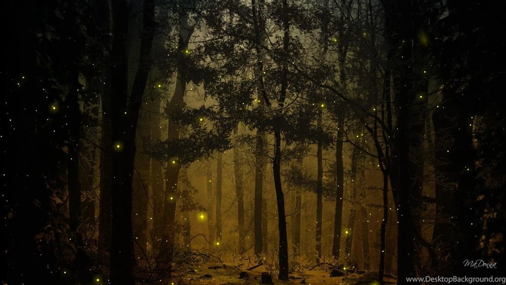 Fireflies In The Woods >> HD Wallpaper, Get It Now!