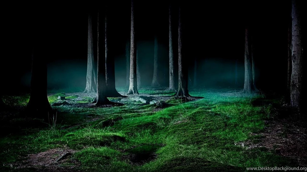 Download Fireflies Live Wallpapers For Android, Fireflies Live ...