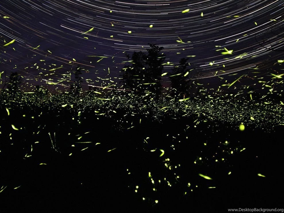 National Geographic Magazine