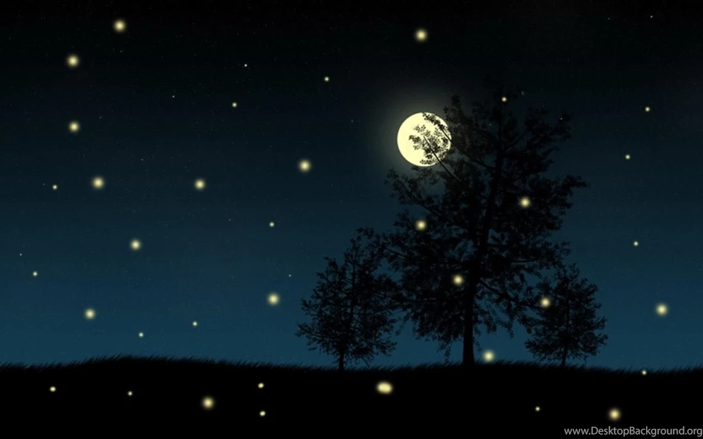 Fireflies Live Wallpapers   Android Apps And Tests   AndroidPIT