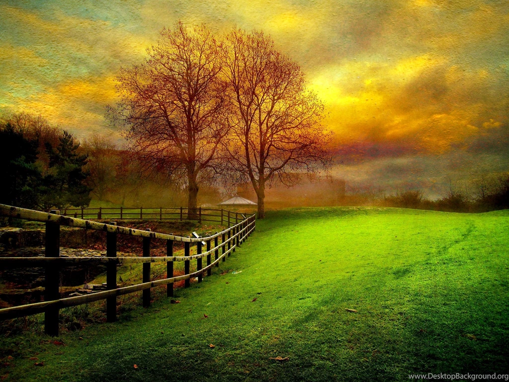 Country Yard At Dusk (