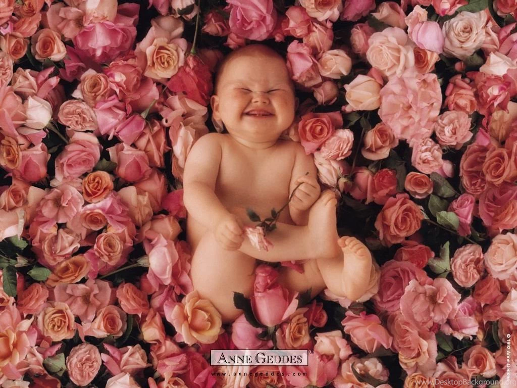 Cute Baby Wallpapers 1024×768 Baby Wallpapers