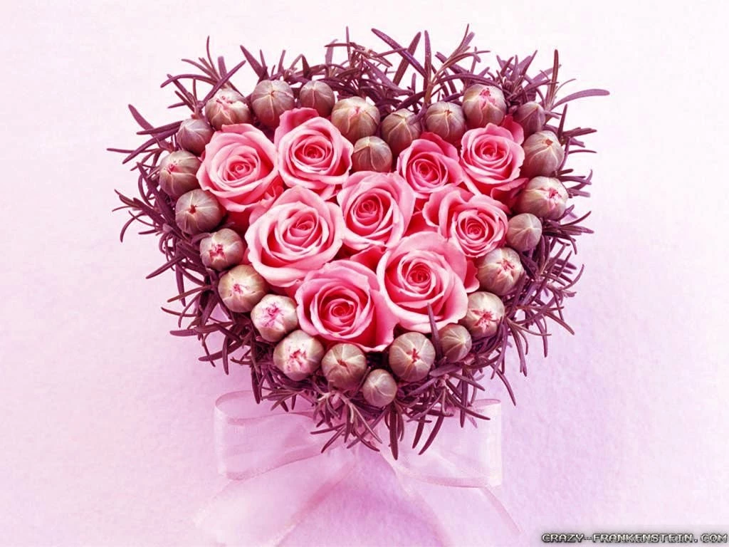 Love Flowers Wallpapers Crazy Frankenstein