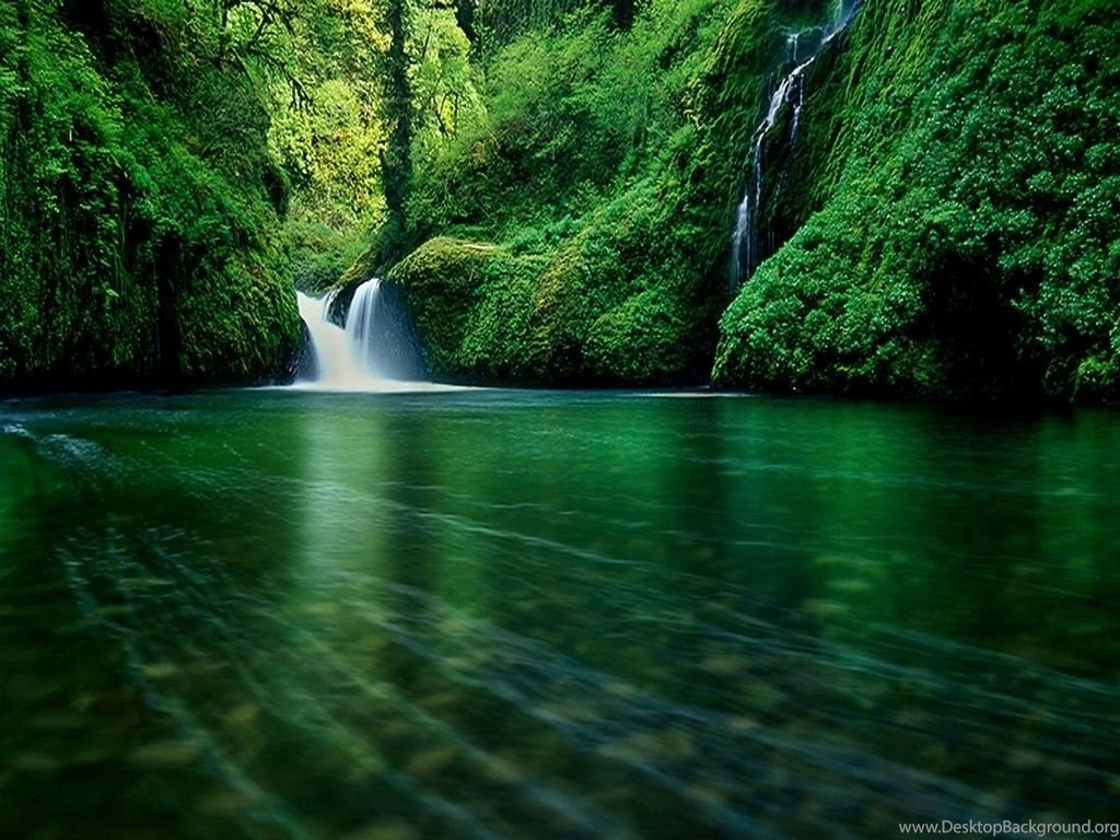 NATURE HIGH RESOLUTION WALLPAPER WALF1041