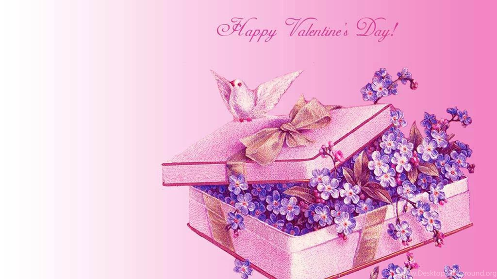 Description Download Happy Valentines Day Hd Wallpapers 2560×1440 ...