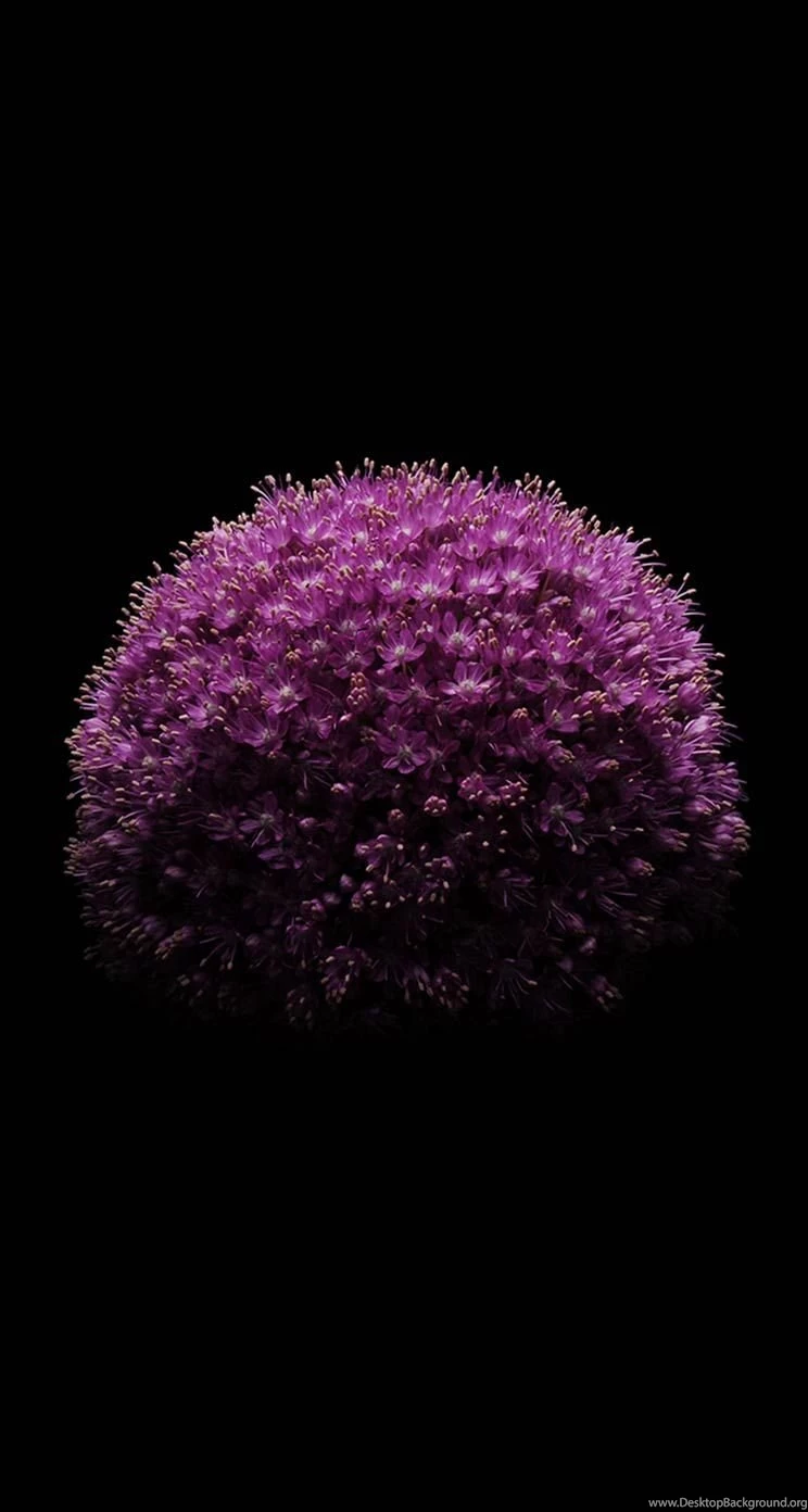 Download The Official IOS 8 Wallpapers – These Are ElegantTech Egis