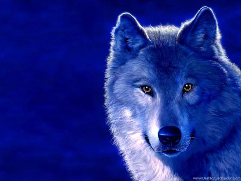 Wellphokannsong: Wolf Wallpapers