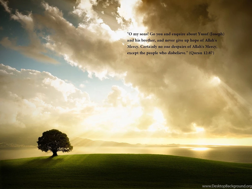 Flower Wallpapers Download This Free Christian Image ... Http://www ...
