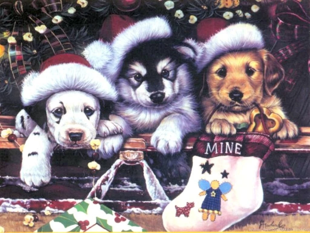 Funny Christmas Dogs 4 Desktop Backgrounds   Funnypicture.org