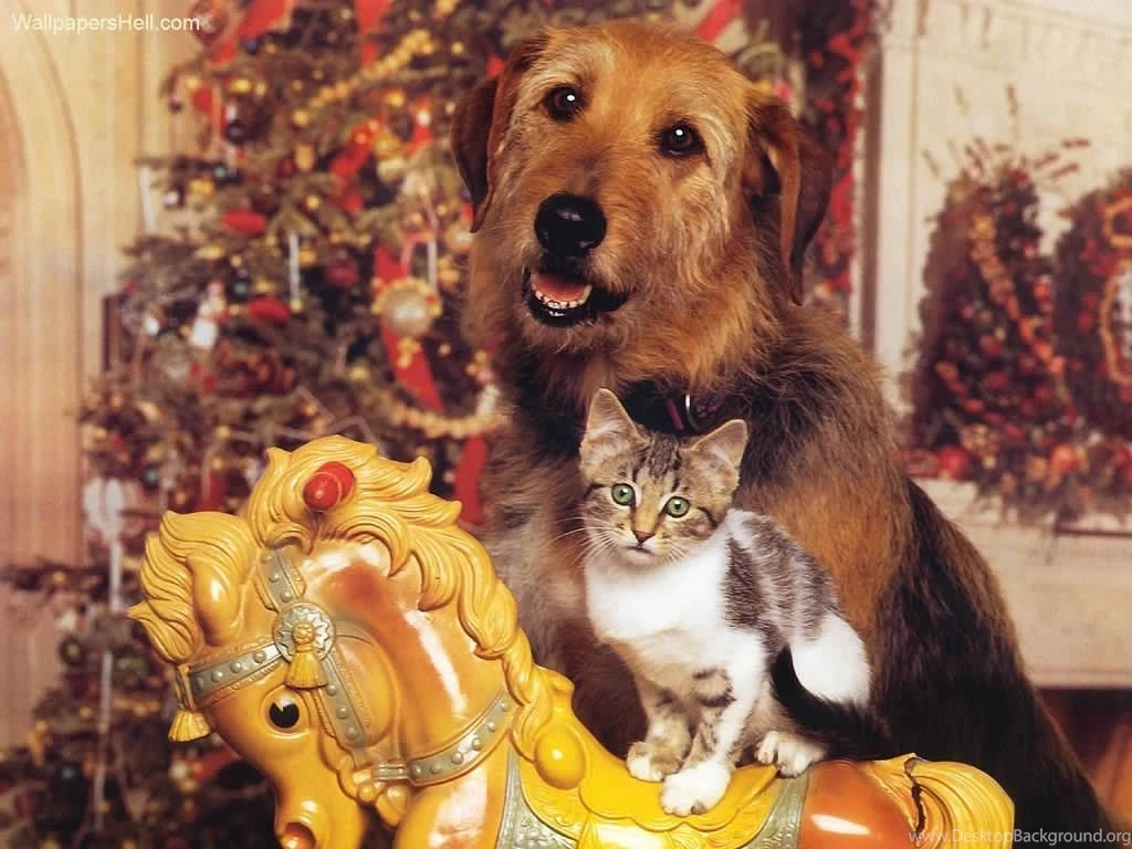 Dogs Favorite Toy Animal Christmas Cat Puppy Kitten Horse Dog ...