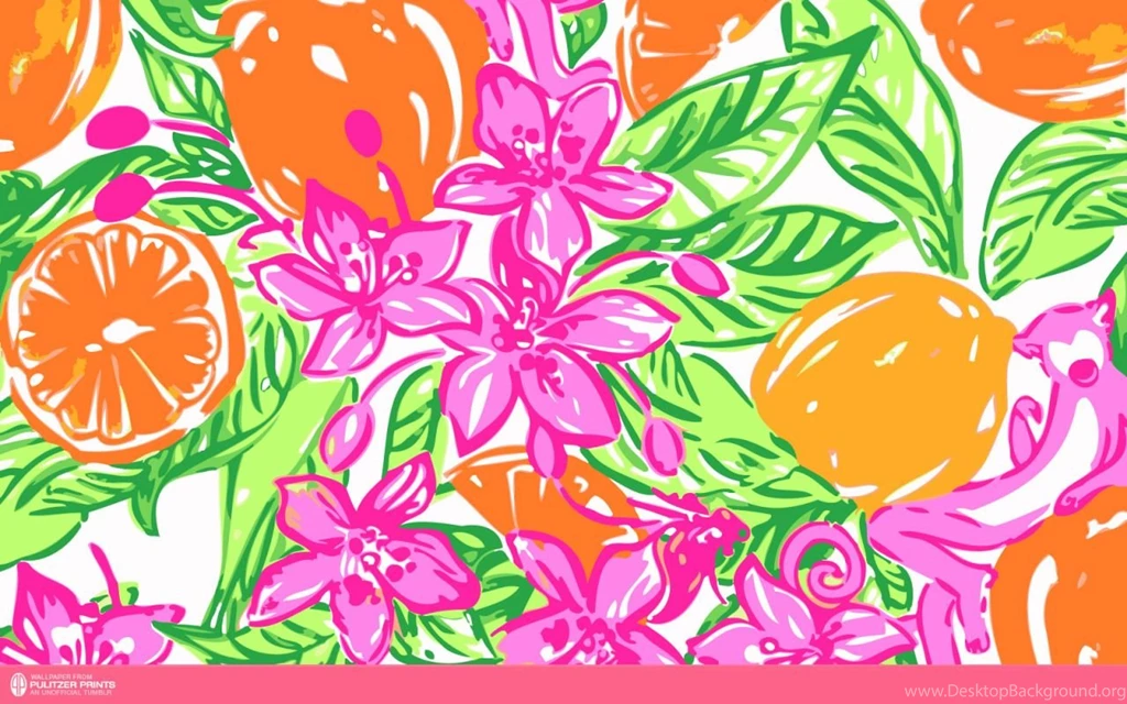 An Unofficial Collection Of Lilly Pulitzer Prints