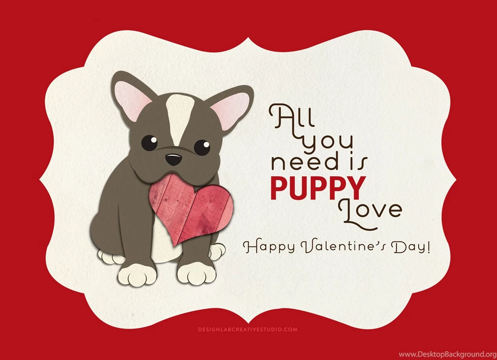 The Labs & Co. » Three LOVEly New Products From Design Lab