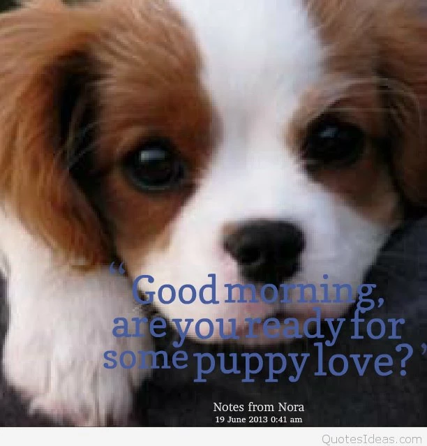 15537 good morning are you ready for some puppy love1.png