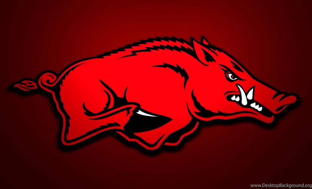 Razorback Wallpapers Free Wallpapers Hd Arkansas Razorbacks ...