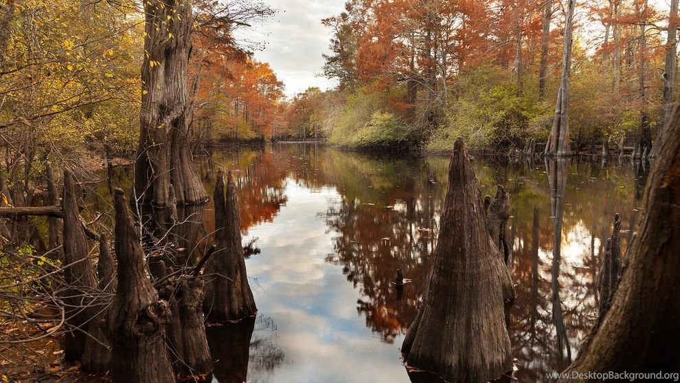 Arkansas Wallpapers Evening At Apple Lake