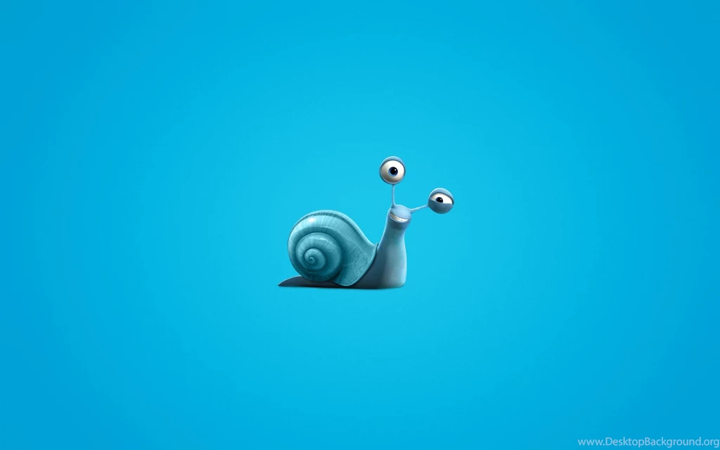 Snail Computer Wallpapers, Desktop Backgrounds