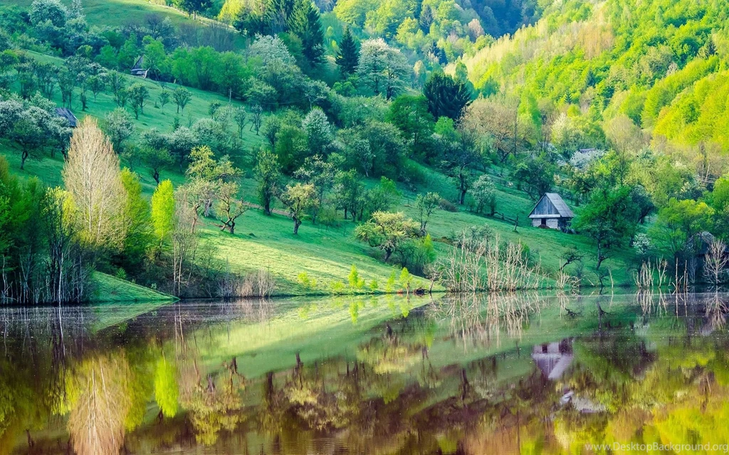 Mountain Slope, Trees, House, Lake, Water Reflection, Spring ...