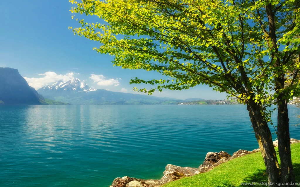 Download Spring Scenery 6392 3840x2400 Px High Resolution ...