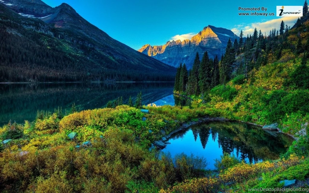 Beautiful Summer Scenery Photo 232 Of 413
