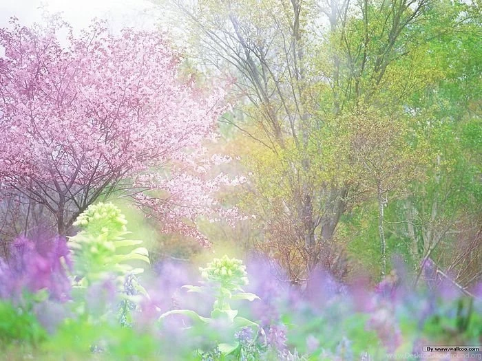 Spring Garden, Soft Dreamy Spring Scenery (1920+1600 ) 25 ...