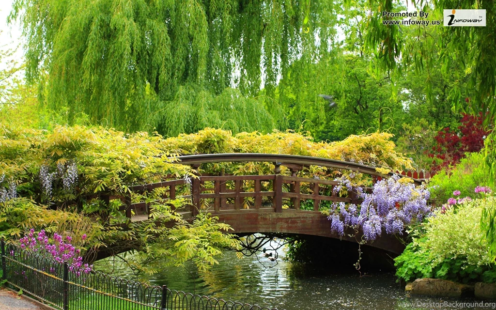 Gardens Wallpaper: Spring Scenery Wallpapers Photo 89 Of 387 Phombo ...