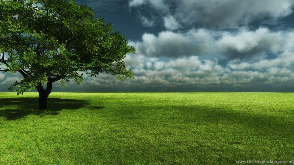 1920x1080 Beautiful Spring Scenery Desktop PC And Mac Wallpapers