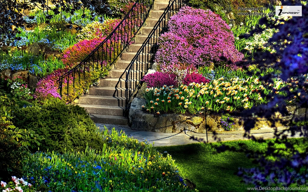 Spring Scenery Images. Photo 164 Of 376