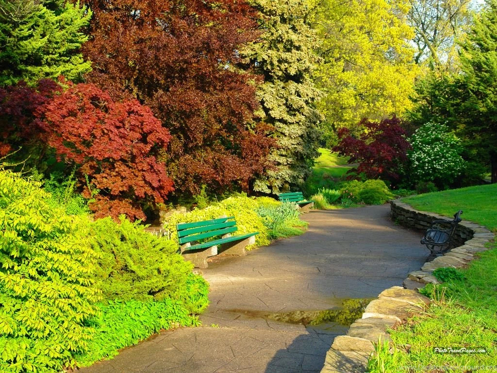Gardens Wallpaper: Beautiful Spring Scenery HD Wallpapers, Best 31 ...