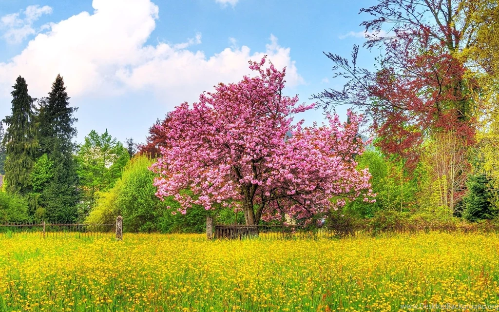 Spring Landscape Screensavers