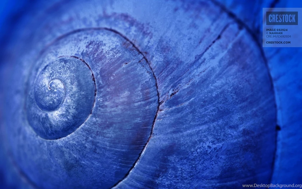 Free Desktop, iPad And iPhone Wallpapers From Crestock – Week 30 ...